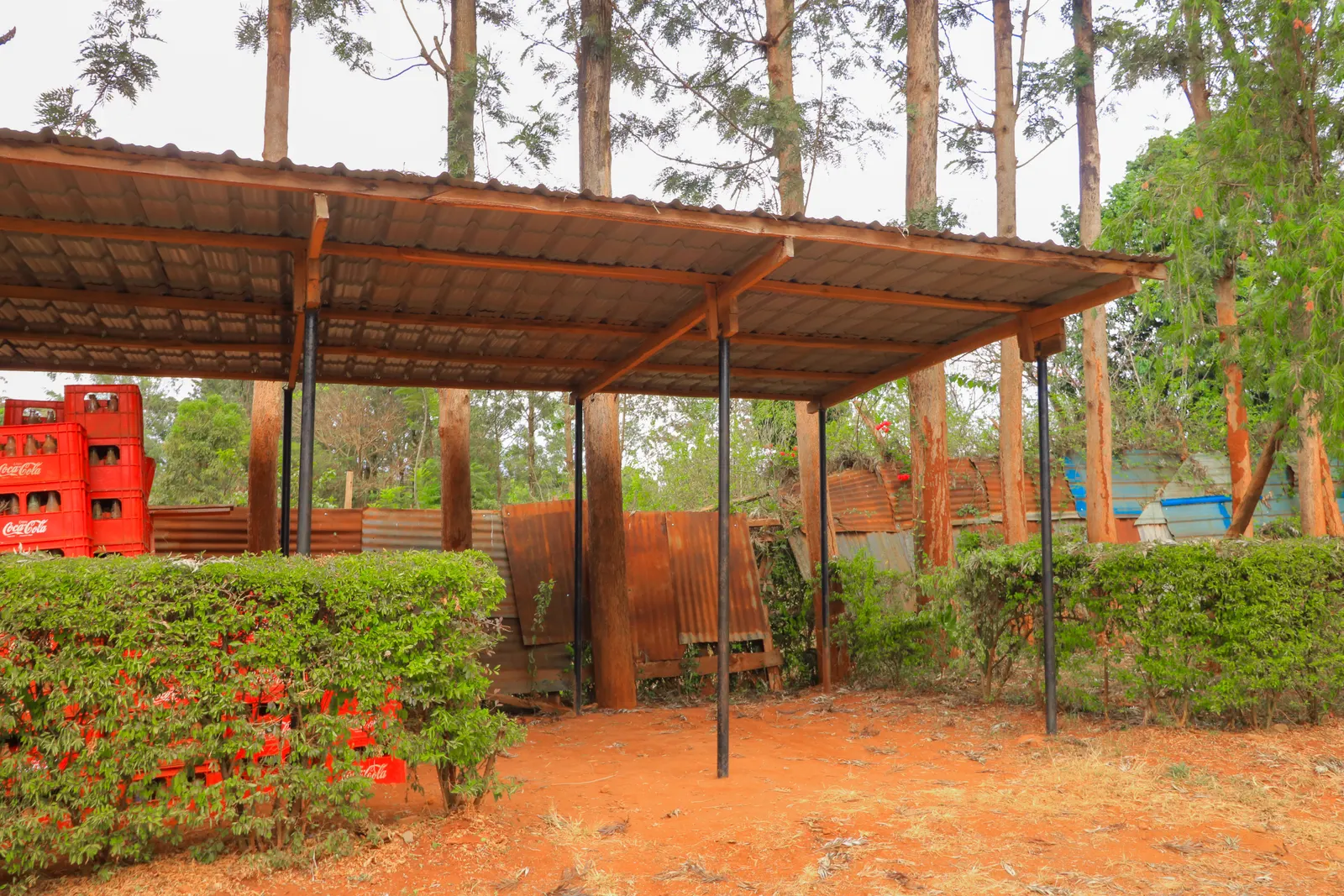 Katharaka Residences photo 15