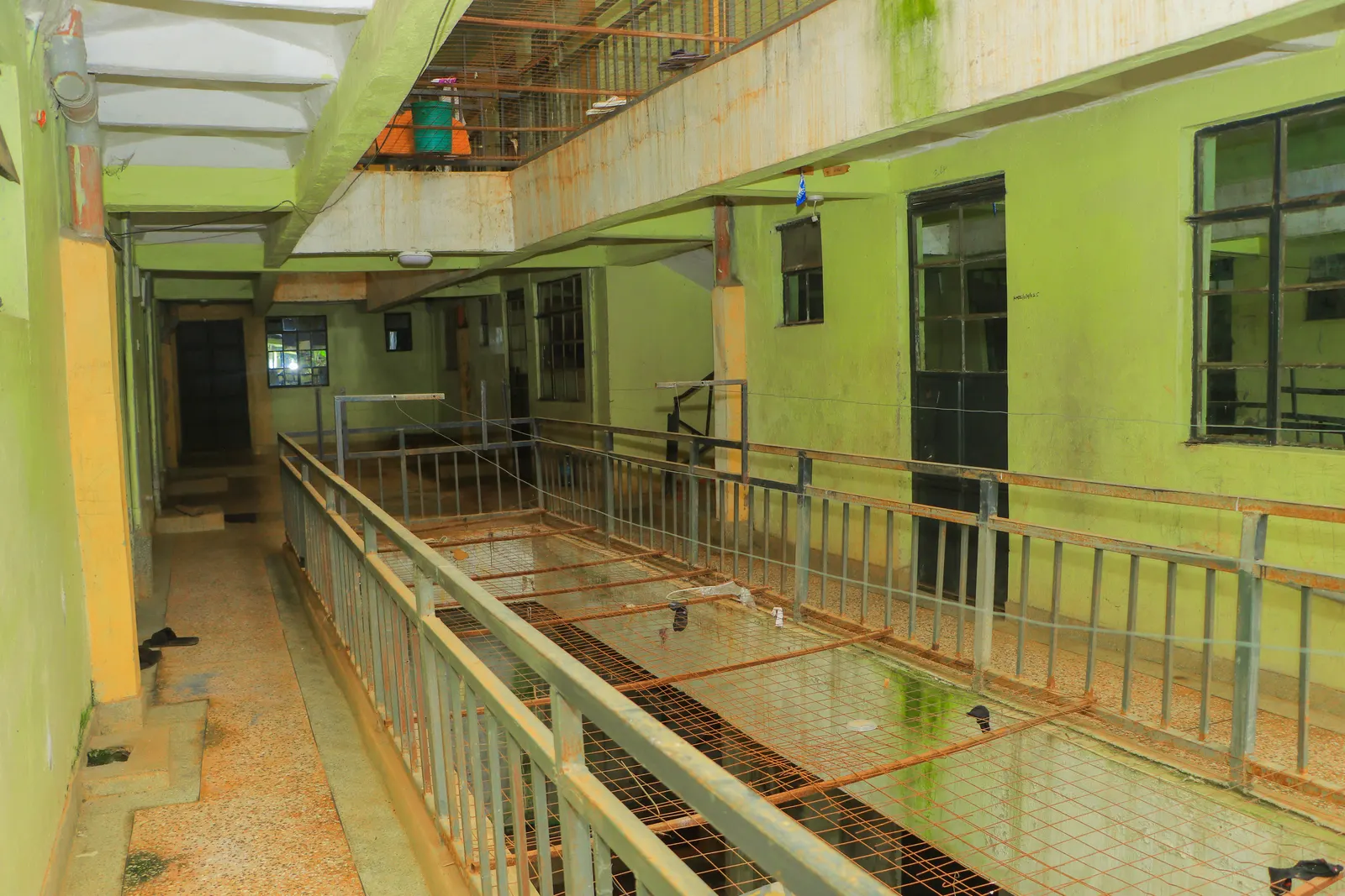 Kilifi Gardens photo 19