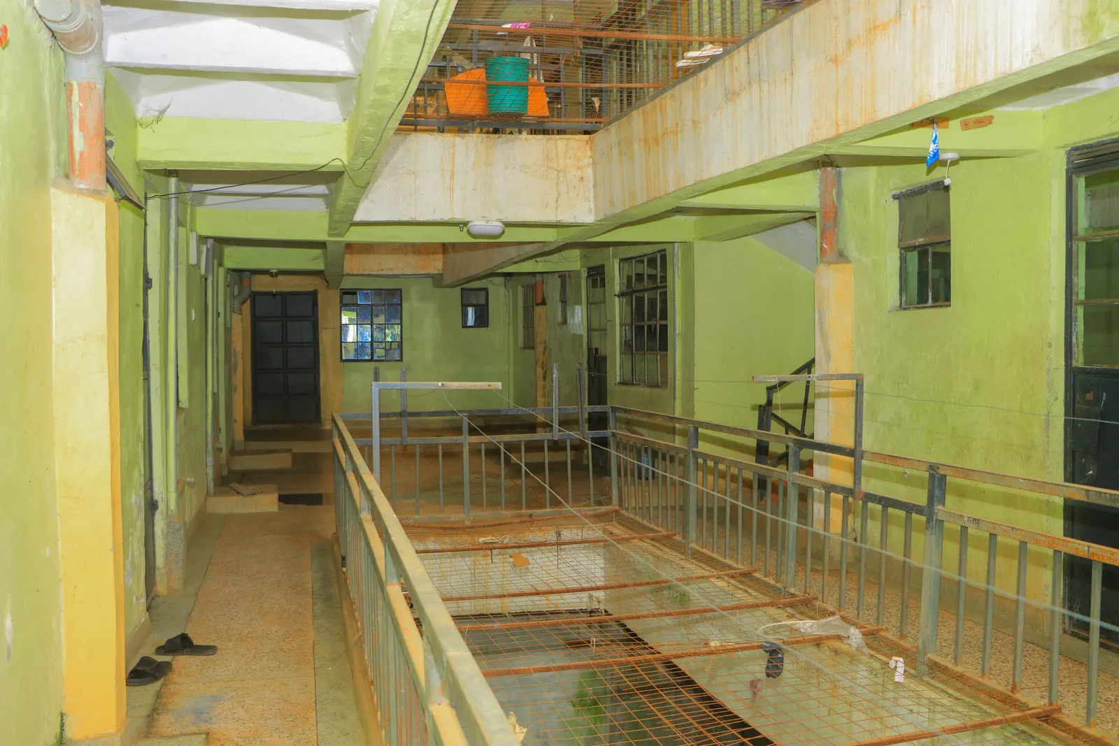 Kilifi Gardens photo 20